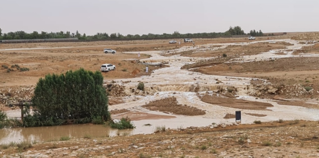 صورة المعلم