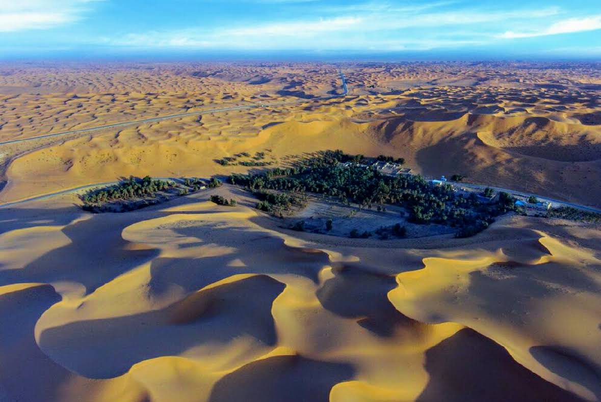 صورة المعلم