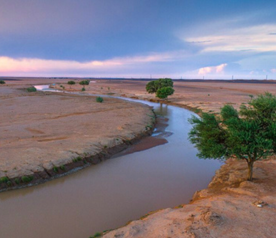 صورة المعلم