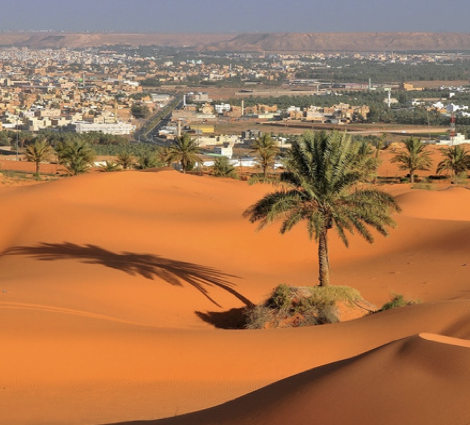 صورة المعلم