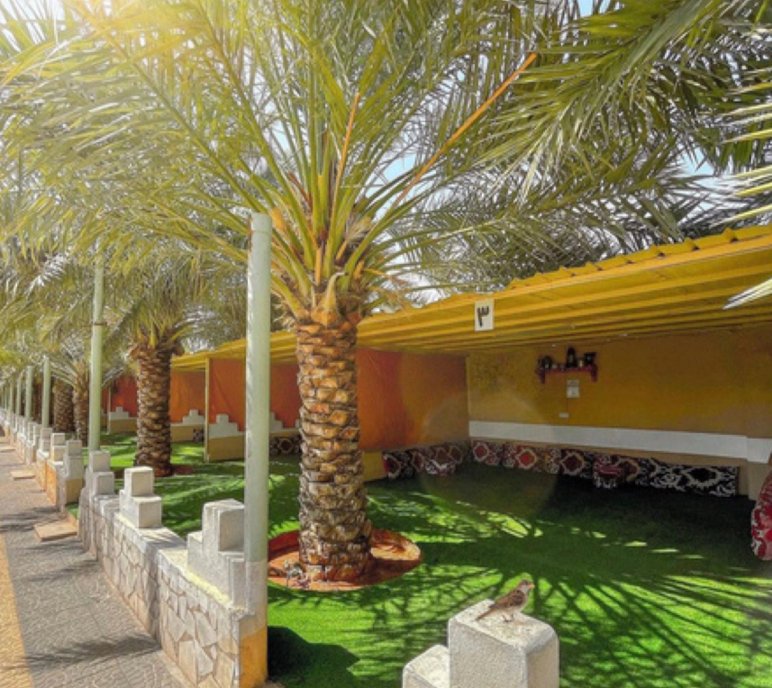 صورة المعلم