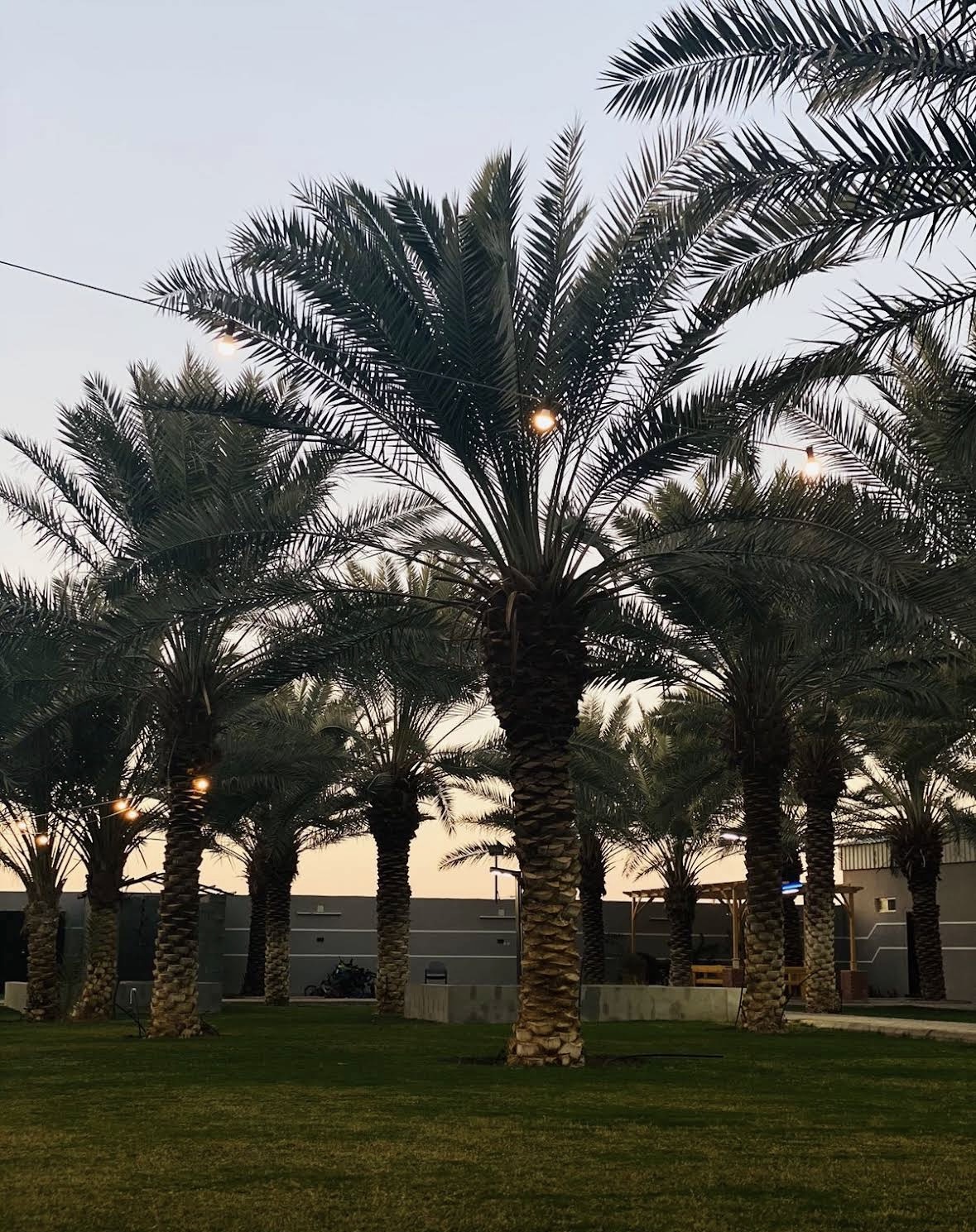 صورة المعلم