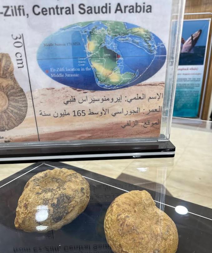 صورة المعلم