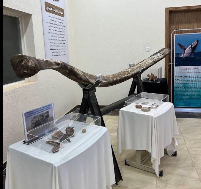 صورة المعلم