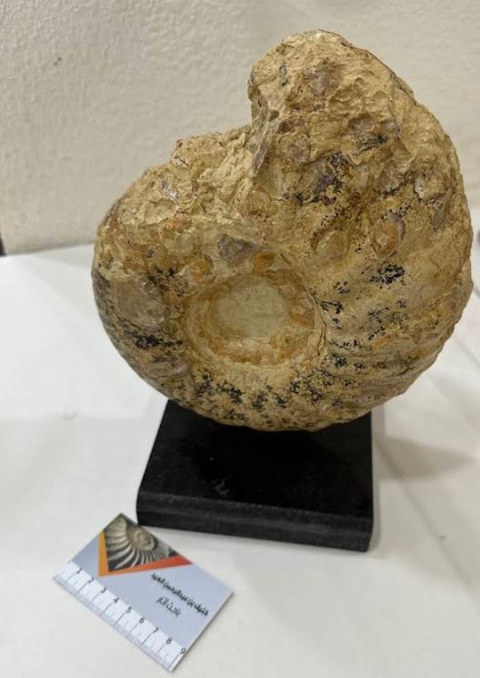 صورة المعلم