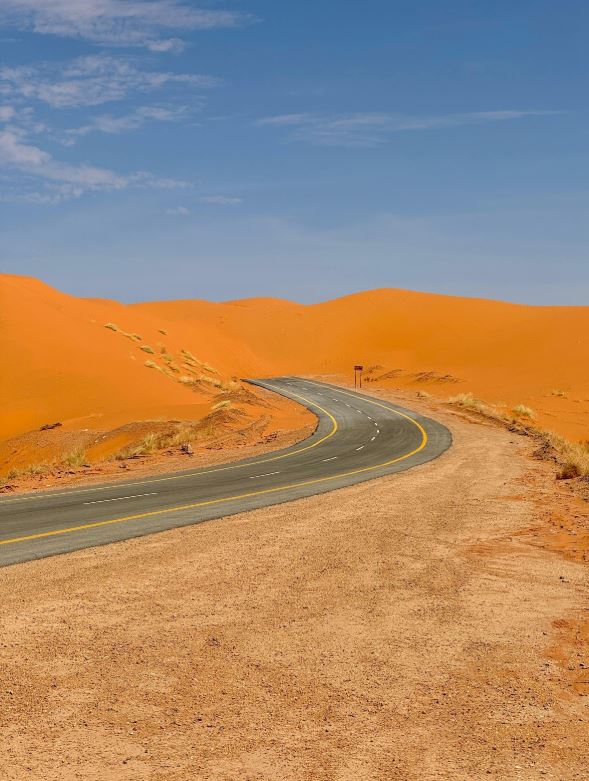 صورة المعلم