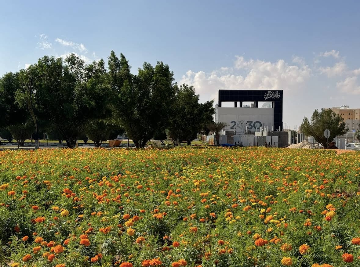 صورة المعلم