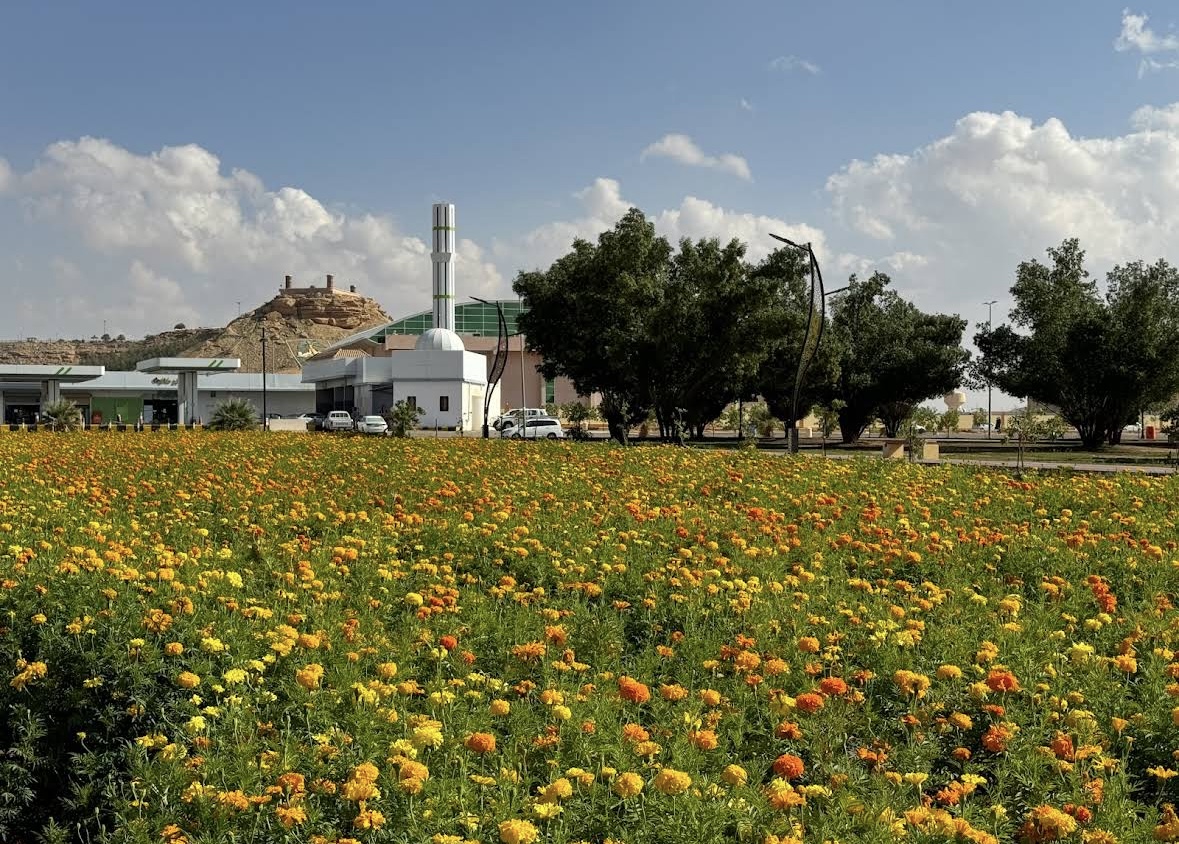 صورة المعلم