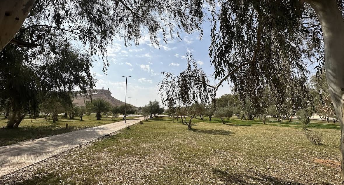 صورة المعلم