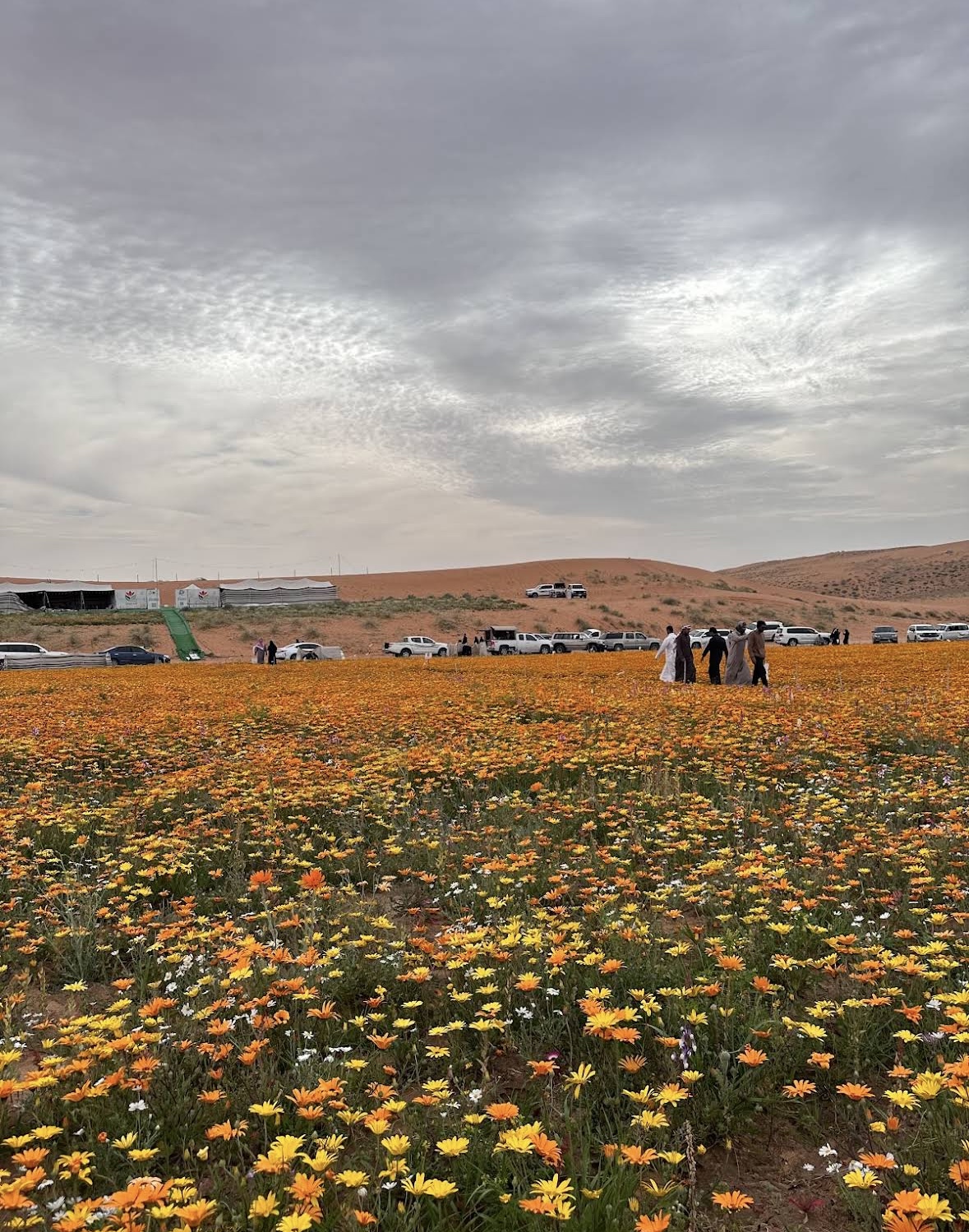 صورة المعلم