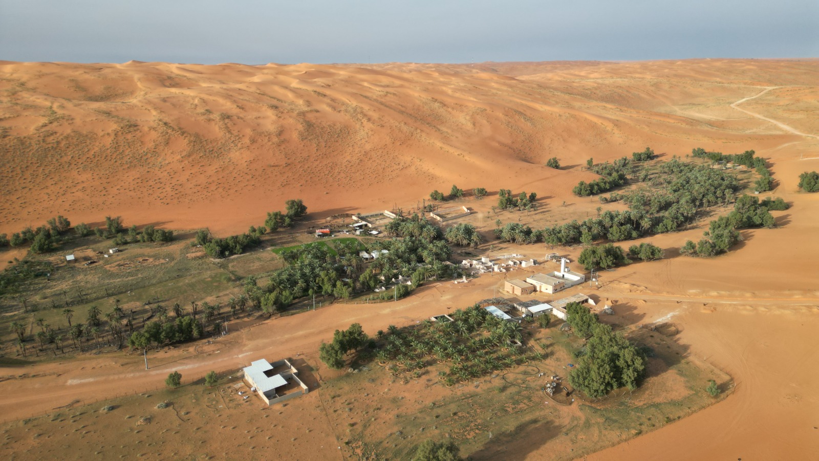 صورة المعلم