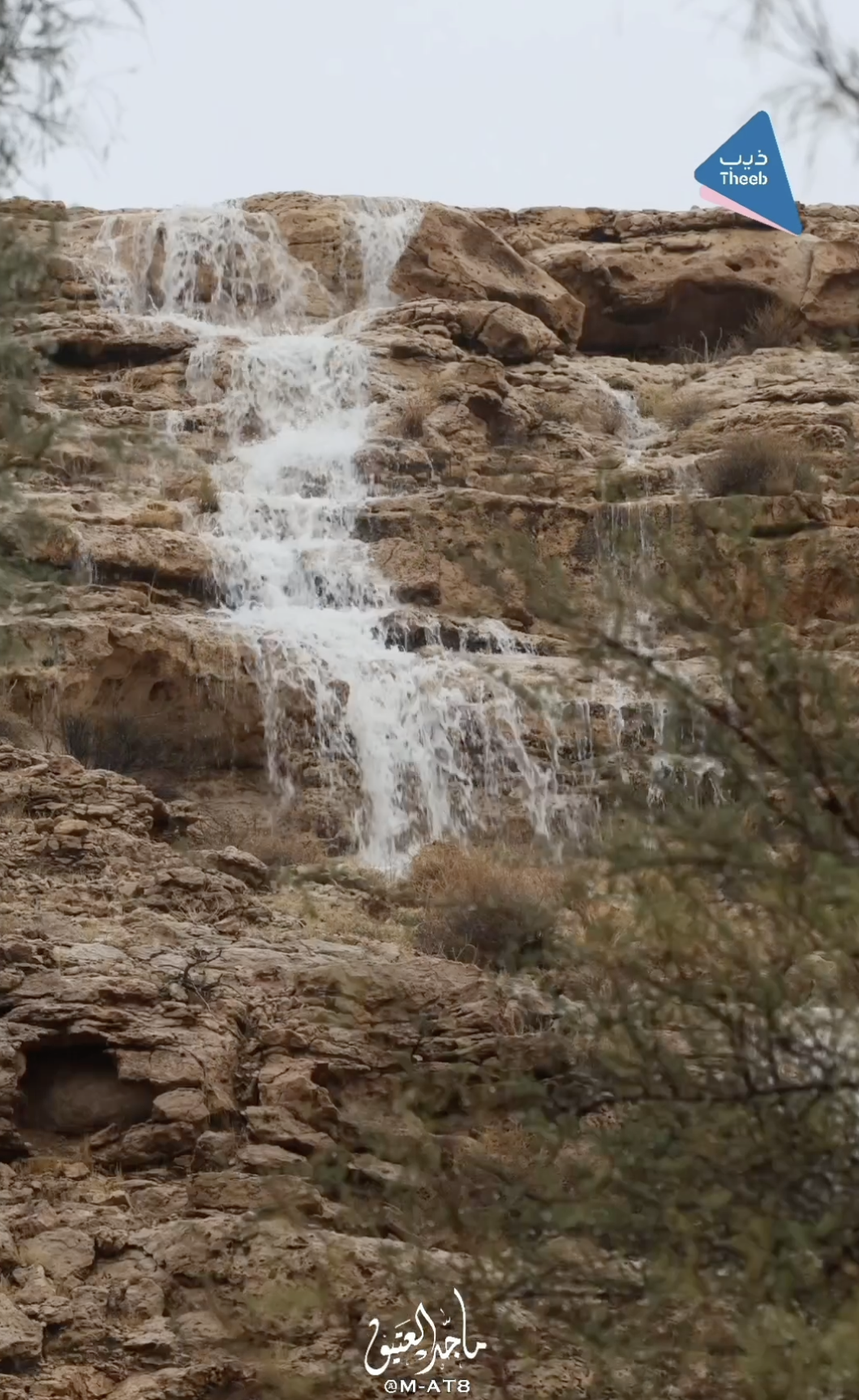 صورة المعلم