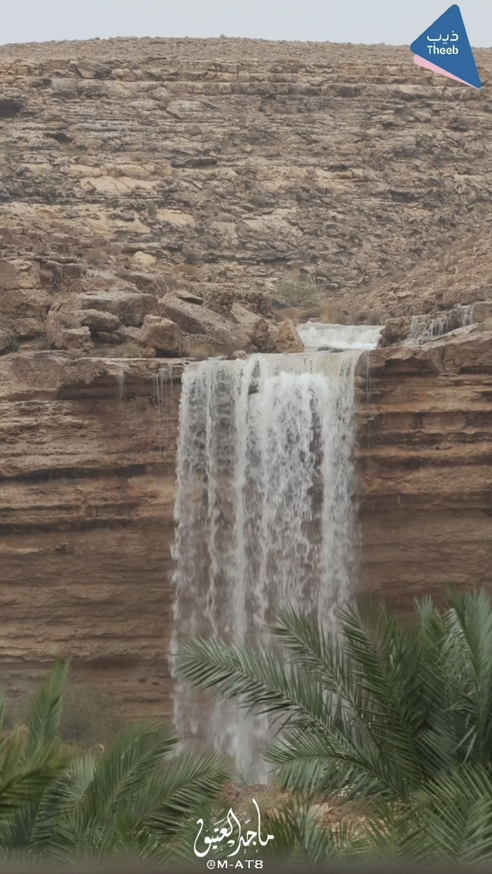 صورة المعلم