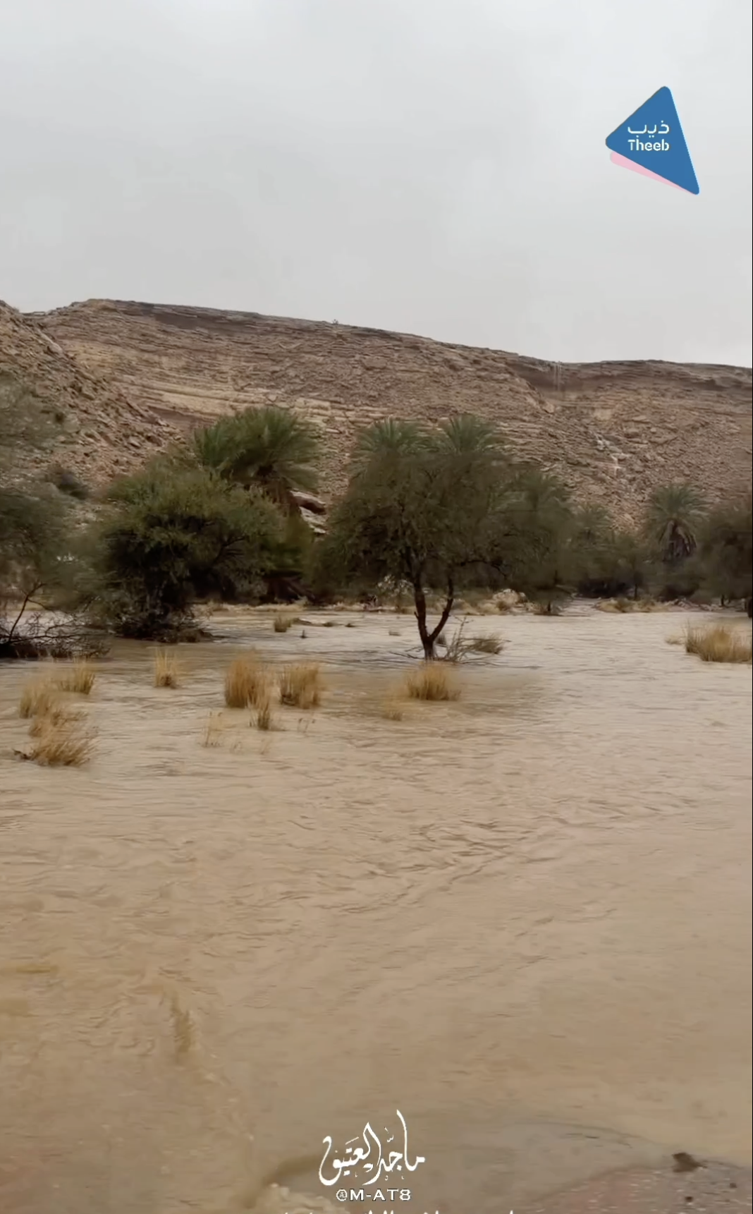 صورة المعلم