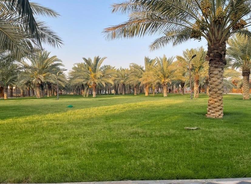 منتجع الياسمين