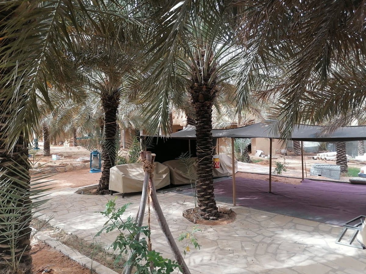 منتجع جريبيعة