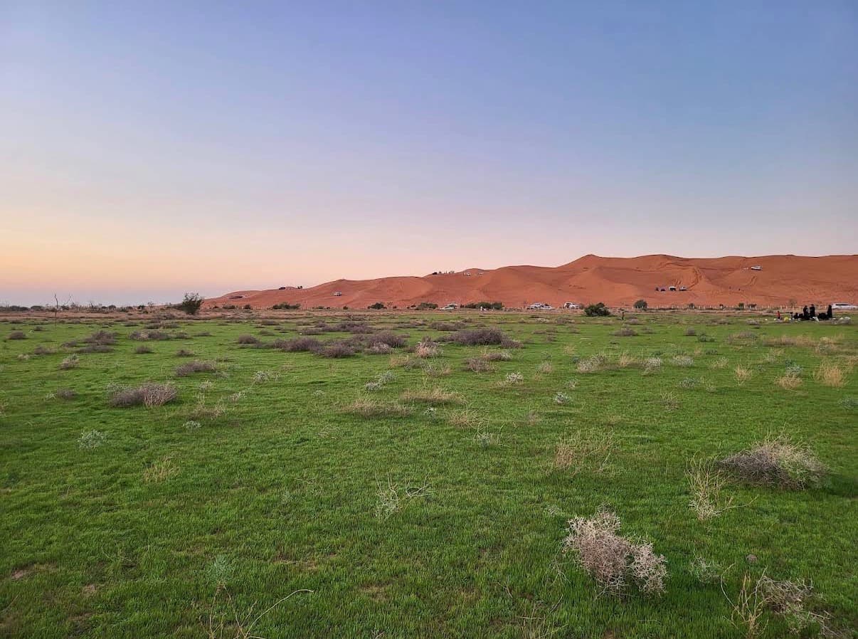 روضة السبلة