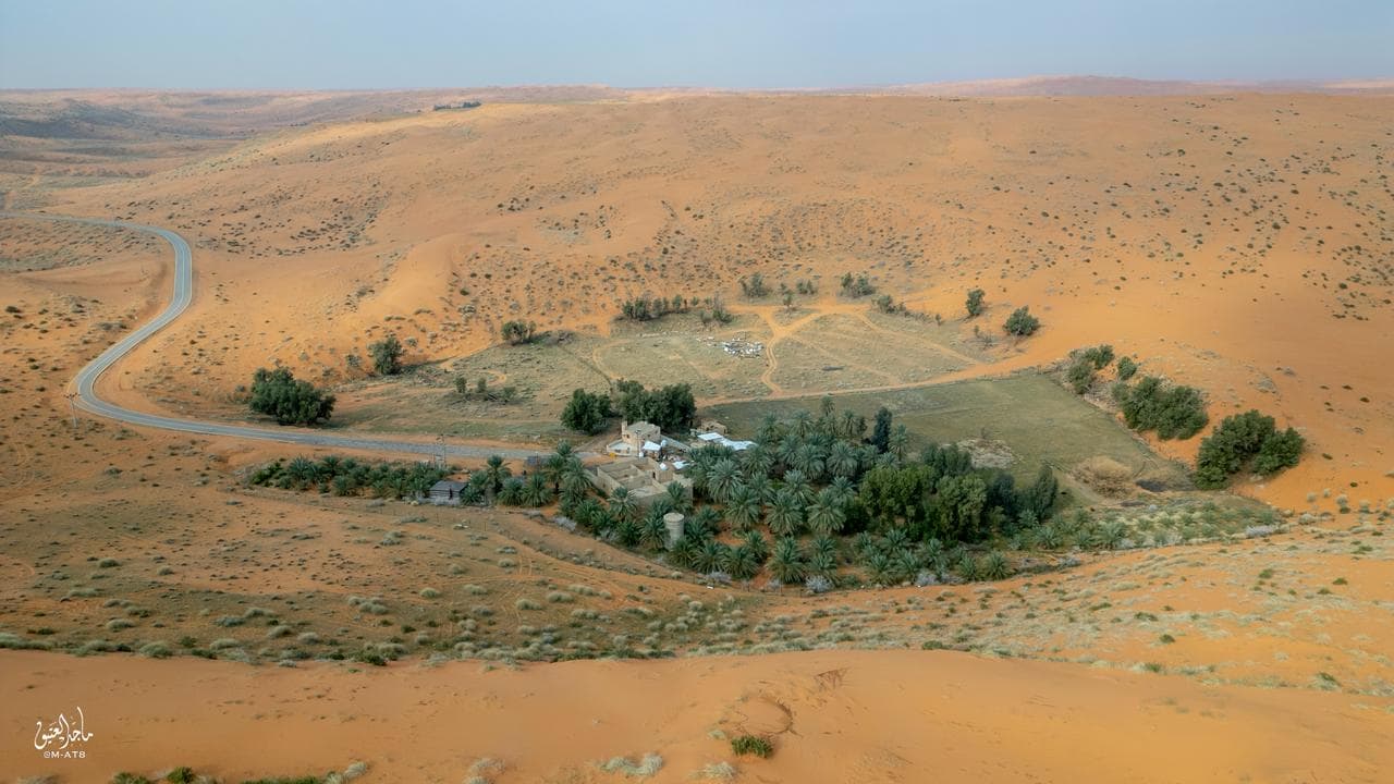 زهلولة